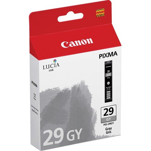 Canon PGI29 GY